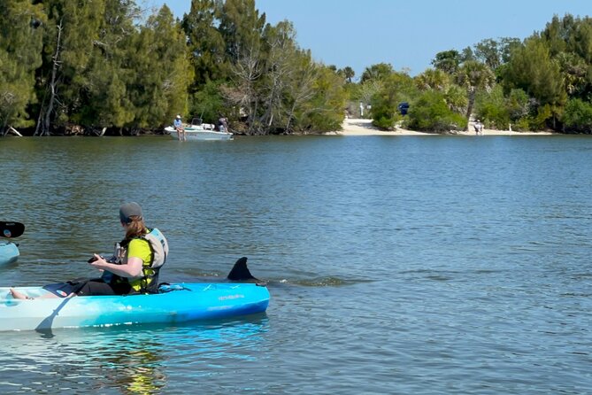 Wildlife Refuge Dolphin, Manatee & Mangrove Kayak or Paddleboarding Tour! - Meeting Point and Directions