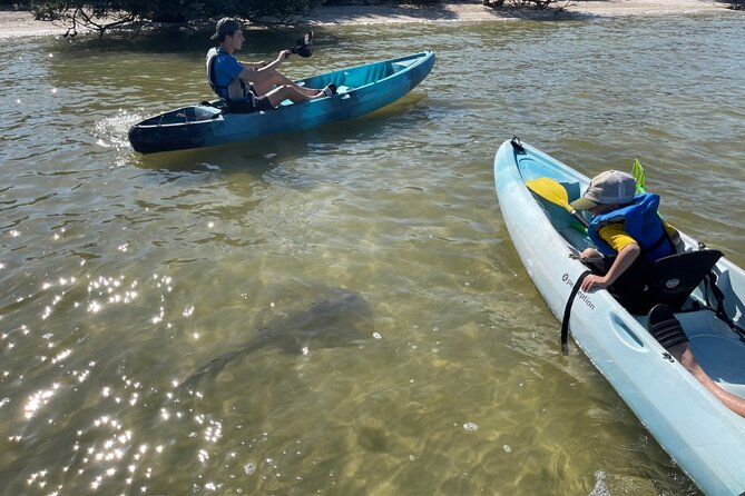 Wildlife Refuge Sunset Dolphin, Manatee & Mangrove Kayak or Paddleboarding Tour! - Whats Included in the Tour