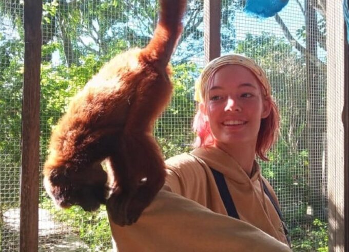 Wildlife Rescue Center and Preservation Park - Transportation and Pickup