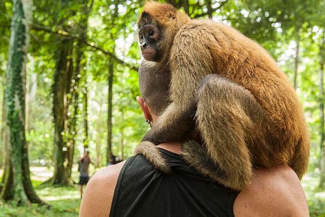 Wildlife Rescue Center and Punta Uva Beach & Jungle Hike - Jaguar Rescue Center
