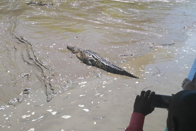 Wildlife River Boat Safari & Cultural Experience. - Key Points