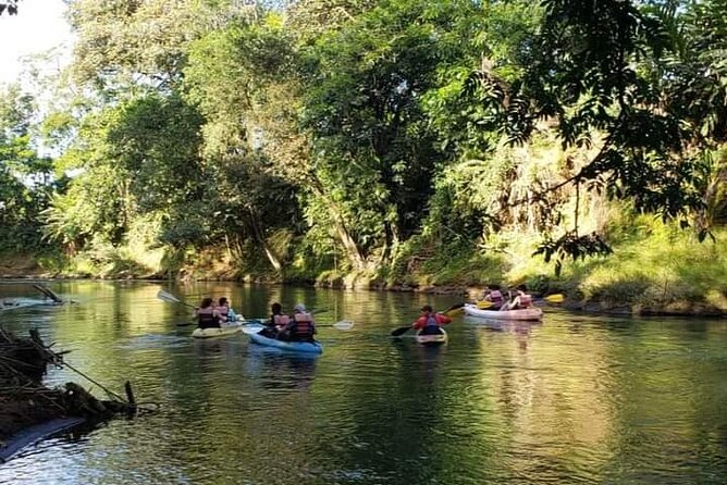 Wildlife Safari Experience by Kayak - Key Points