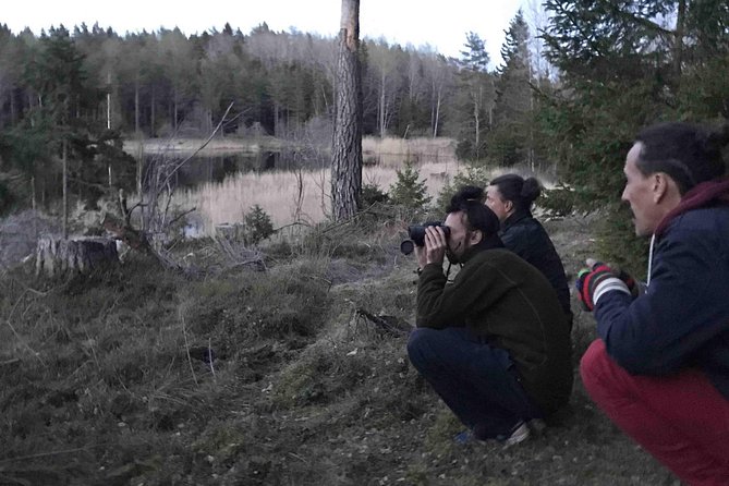 Wildlife Safari Small-Group in Stockholm - Whats Included in the Trip