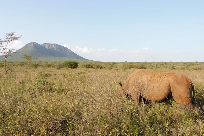 Wildlife Safari Tanzania - Transportation and Accessibility