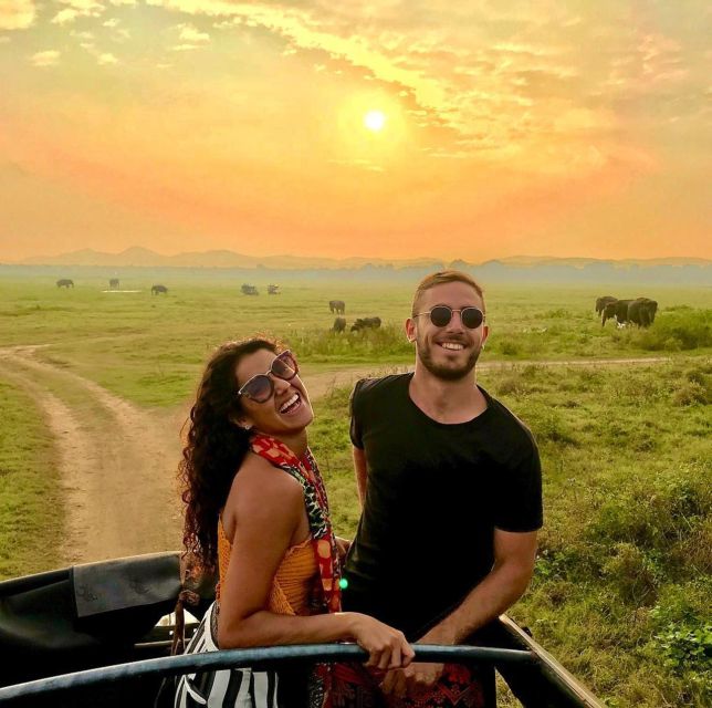 Wildlife Safari to Kaudulla National Park - Majestic Elephants and Wildlife