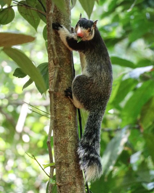 Wildlife Safari to Kaudulla National Park - Recap