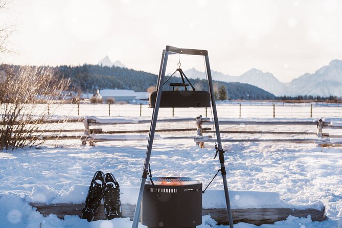 Wildlife Safari With Snowshoe & Winter Camp Dinner Experience - Itinerary and Activities