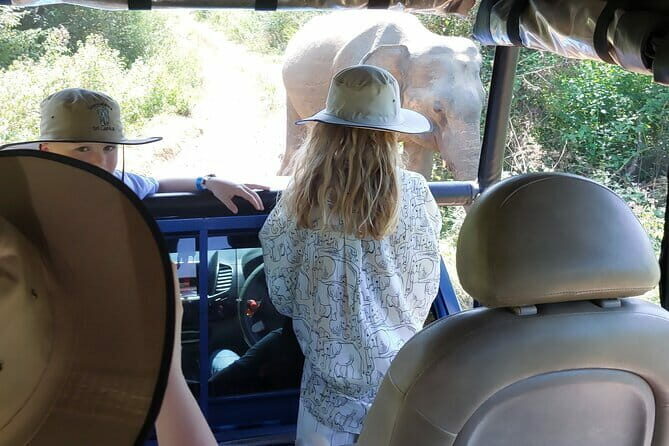 Wildlife Safari Yala National park - An Honest Look at the Safari Experience
