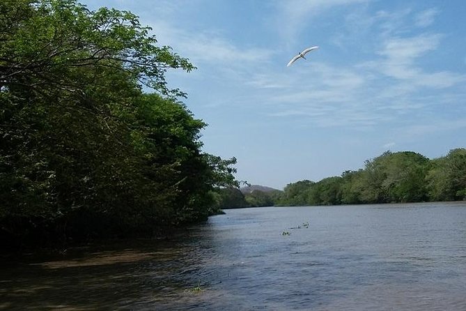 Wildlife Tour at Palo Verde National Park - Exploring Diverse Habitats