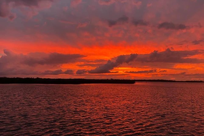 Wildlife Tour of Indian River Lagoon With Experienced Captain - Tour Overview