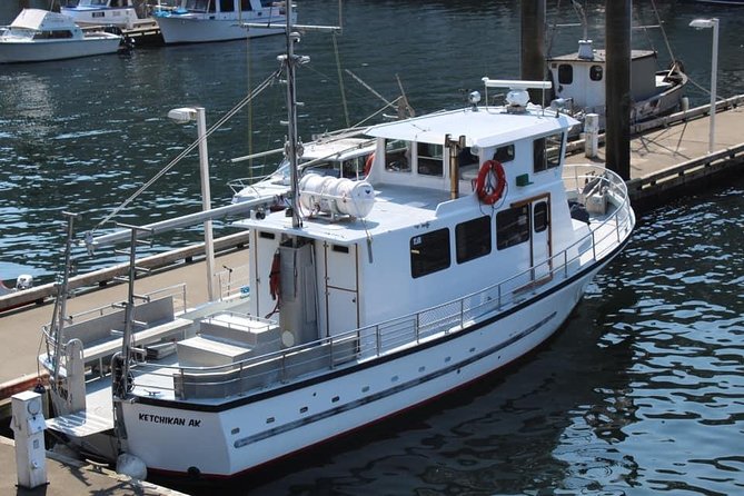 Wildlife Viewing and Whale Watching Quest - Tour Highlights