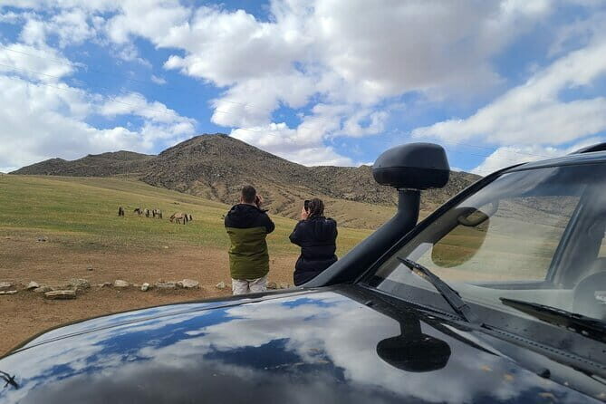 Wildlife Watching Day Tour at Hustai National Park - What Makes This Tour Stand Out?