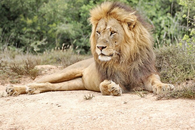 Wildlife Wonders - Addo Elephant National Park Tour - Cancellation Policy