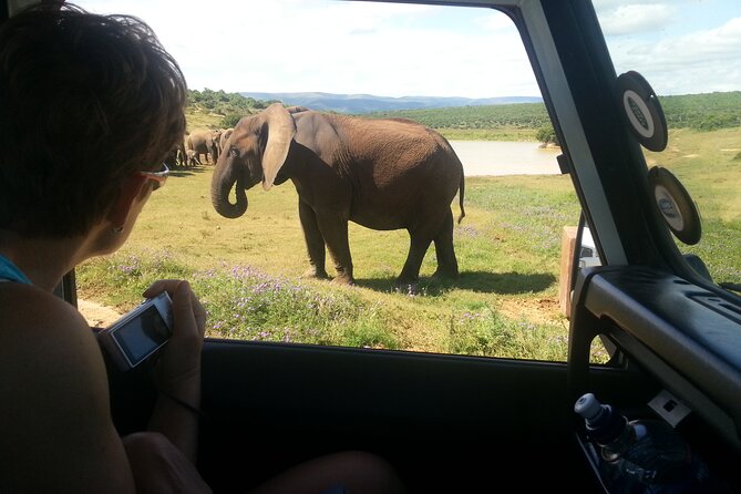 Wildlife Wonders - Addo Elephant National Park Tour - Dietary Requirements
