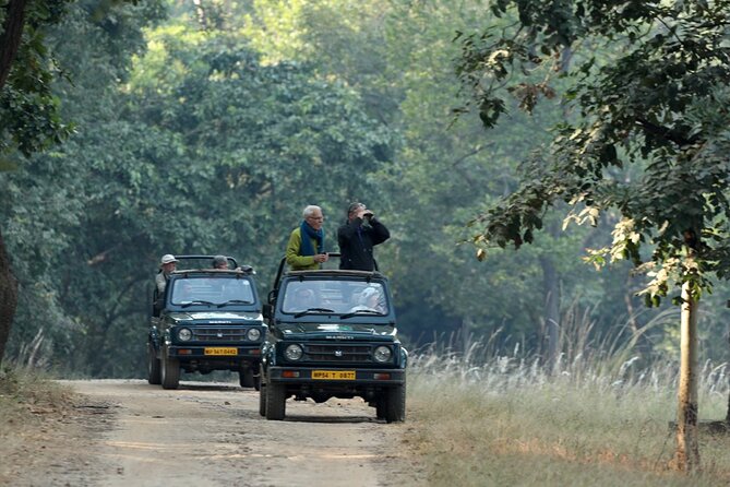 WildlifeSafari in Tadoba, Pench, Kanha & Bandhavgarh NationalPark - Pricing and Cancellation Details