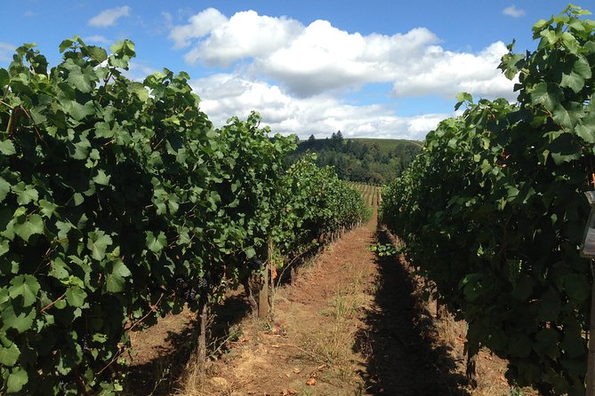 Willamette Valley Wine Tasting Tour From Portland - Tour Highlights and Personal Experiences