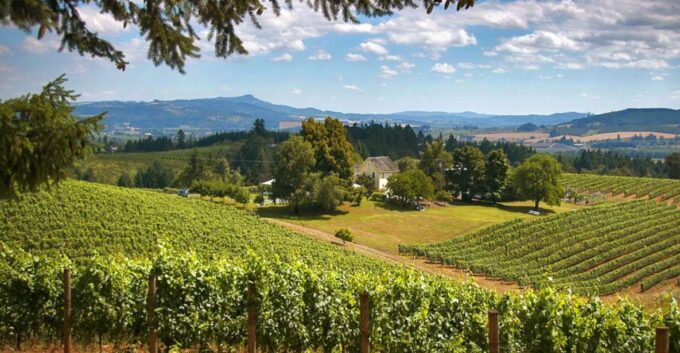 Willamette Valley Wine Tour: a Journey for the Senses - Frequently Asked Questions