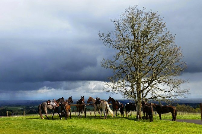 Willamette Valley Wine Tour From Portland (Tasting Fees Included) - Additional Information