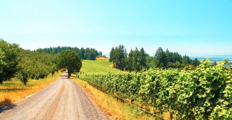 Willamette Valley Wine Tour (Tasting Fees Included) - Key Points