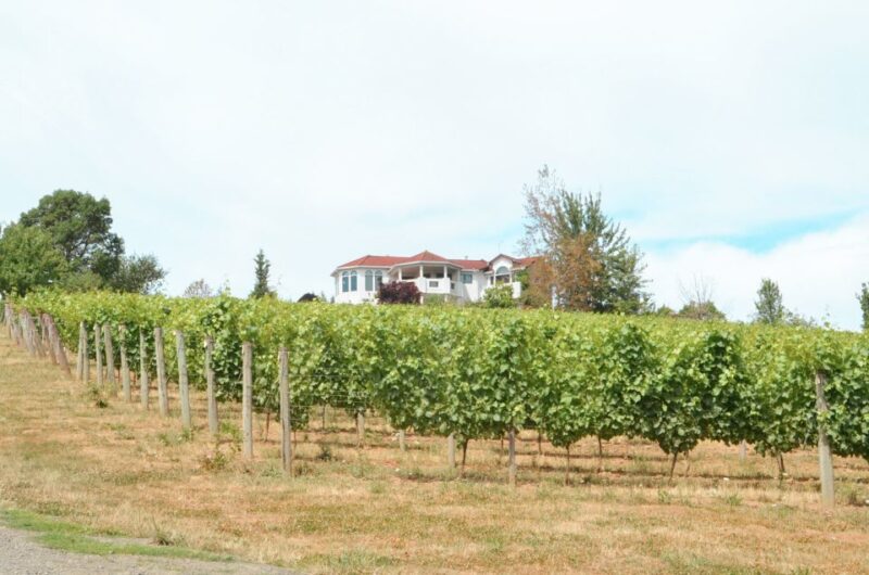 Willamette Valley Wine Tour (Tasting Fees Included) - Itinerary Details
