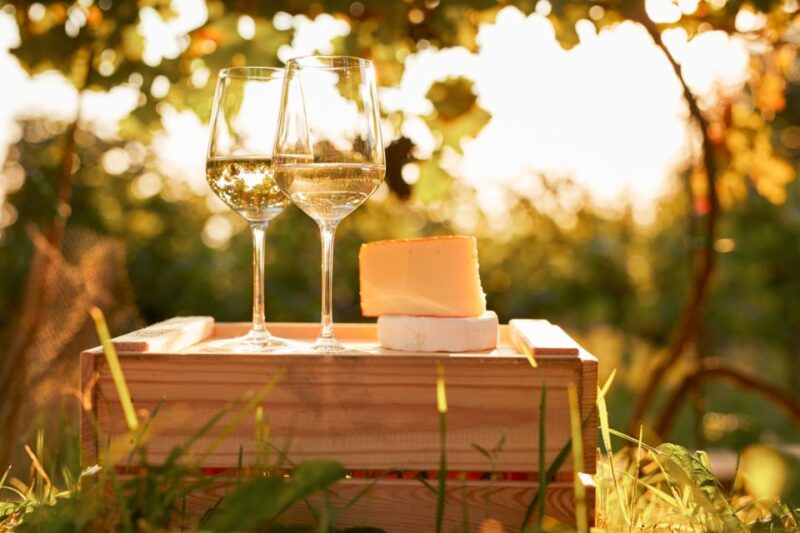 Willamette Valley Wine Tour (Tasting Fees Included) - Renowned Vineyards and Pinot Noir
