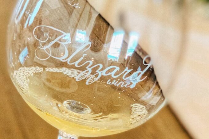 Willamette Valley Wine Tour (Tasting Fees Included) - Knowledgeable Local Guide