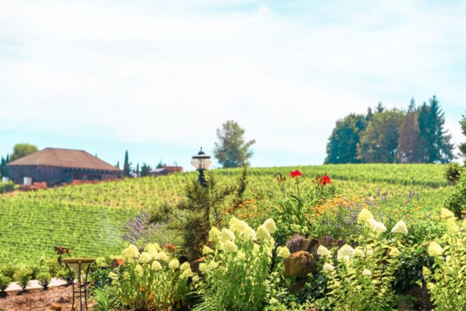 Willamette Valley Wine Tour (Tasting Fees Included) - Scenic Valley Views
