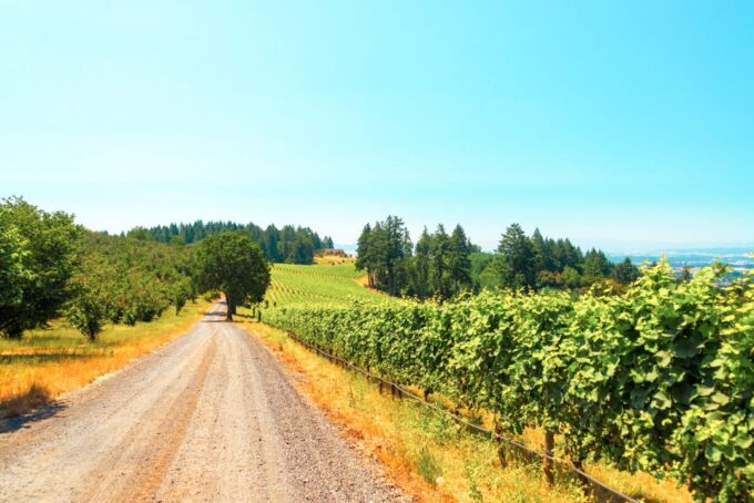 Willamette Valley Wine Tour (Tasting Fees Included) - Frequently Asked Questions