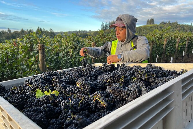 Willamette Wine Tour From Newberg (Tasting Fees Included) - Cancellation and Booking
