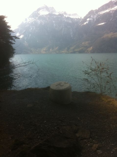 William Tell Swiss Path Hike and Boat Cruise Full-Day Tour - Guided Tour and Sightseeing