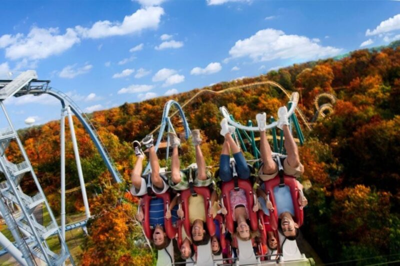 Williamsburg: Busch Gardens Ticket & Water Country Option - Park Highlights and Attractions