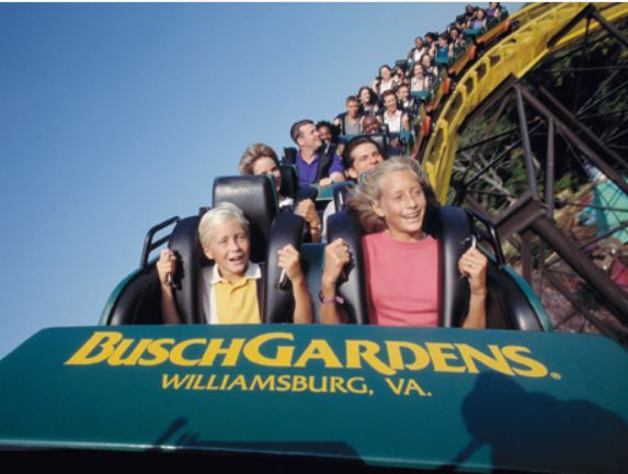 Williamsburg: Busch Gardens Ticket & Water Country Option - Visitor Amenities and Experiences
