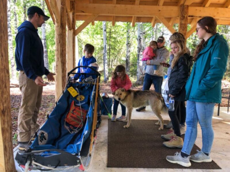 Willow: Summer Dog Sledding Ride in Alaska - Participant Eligibility