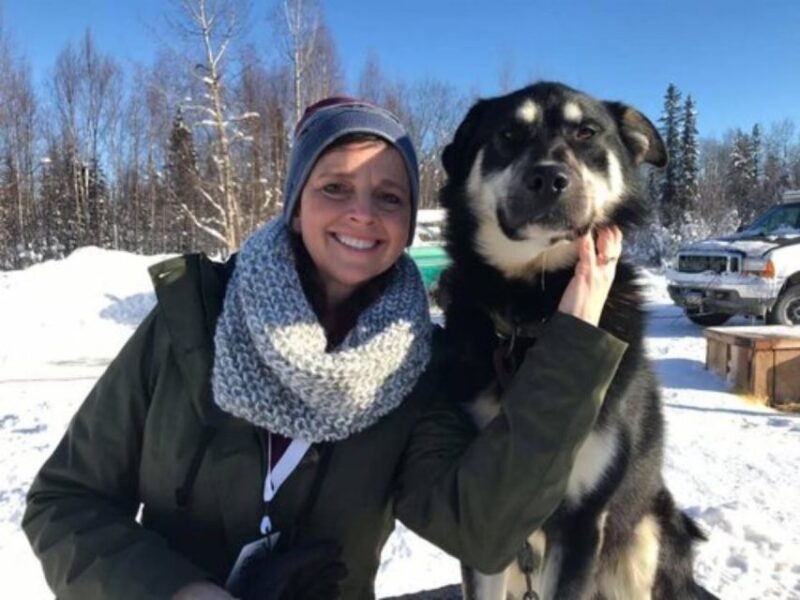 Willow: Traditional Alaskan Dog Sledding Ride - Ride Highlights