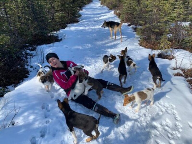 Willow: Traditional Alaskan Dog Sledding Ride - Meeting Point and Transportation