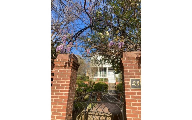 Wilmington History and Architecture Tour - Pricing and Booking Details