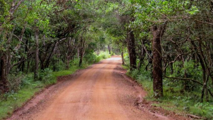 Wilpattu National Park: 3-Hour Morning or Evening Safari - Booking and Pricing