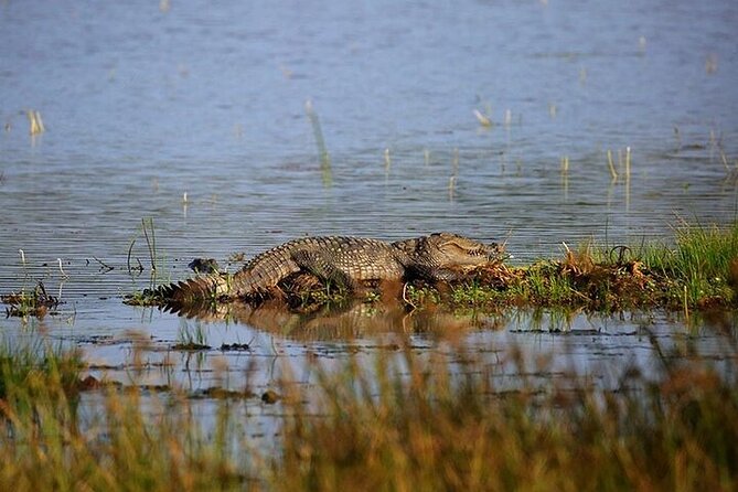 Wilpattu National Park Jeep Safari From Negombo / Waikkal (All Inclusive) - Pickup and Drop-off