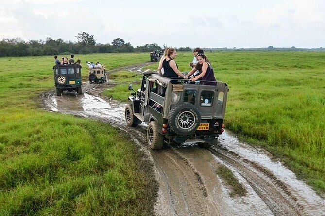 Wilpattu National Park Jeep Safari From Negombo / Waikkal (All Inclusive) - Accessibility and Participation