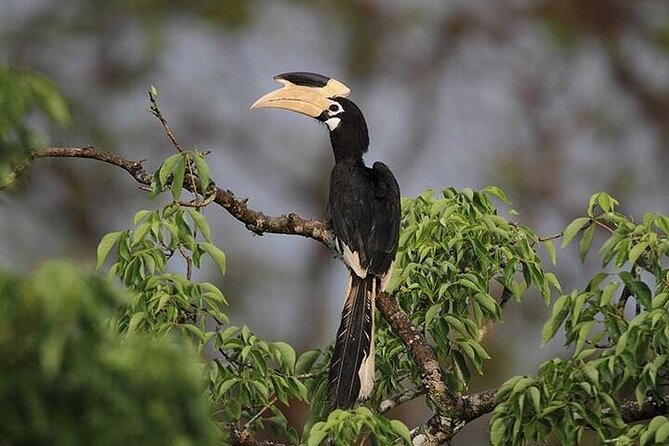 Wilpattu National Park Jeep Safari From Negombo / Waikkal (All Inclusive) - Booking and Cancellation