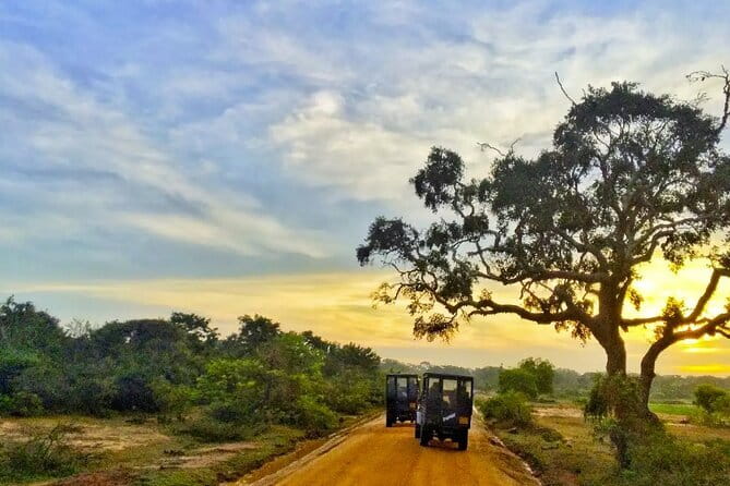 Wilpattu National Park Private Jeep Safari From Colombo & Negombo - Booking Information and Tips