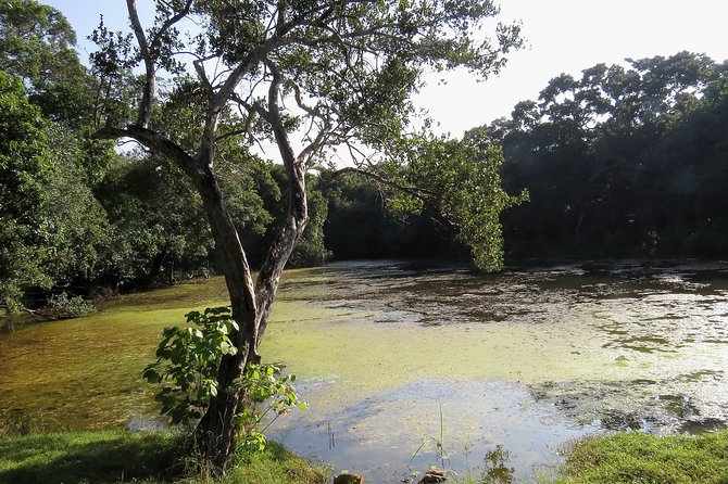 Wilpattu National Park Safari From Negombo - Exclusions