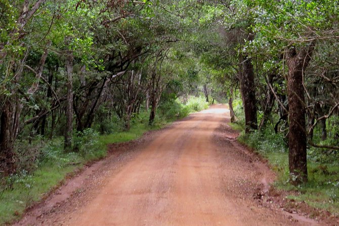 Wilpattu National Park Safari From Negombo - Preparing for Your Safari