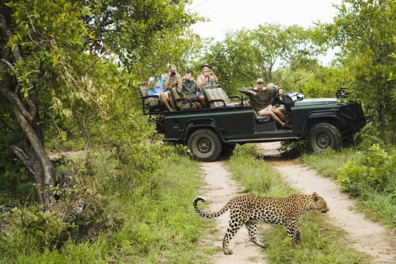 Wilpattu National Park Safari Tour From Kandy - Notable Wildlife Species