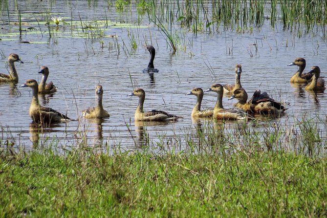 Wilpattu National Park Safari With Naturalist - Booking and Cancellation