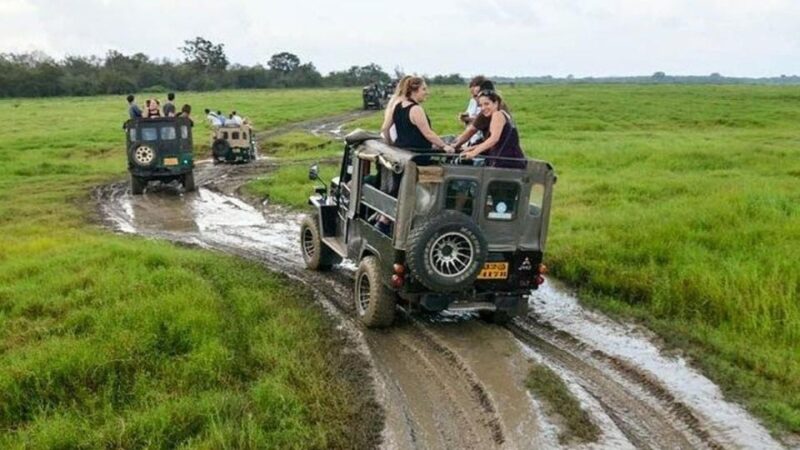 Wilpattu National Park With Safari Jeep & Entrance Ticket - Wildlife Spotting Opportunities