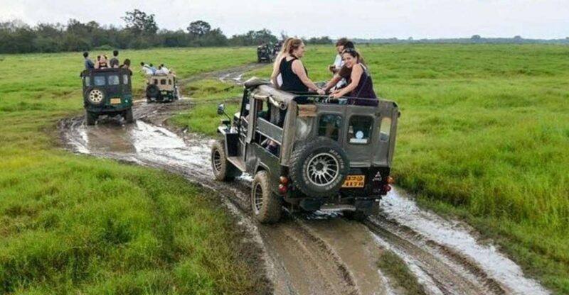 Wilpattu National Park With Safari Jeep & Entrance Ticket - Booking and Payment