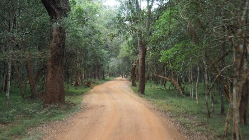 Wilpattu National Park With Safari Jeep & Entrance Ticket - Restrictions and Guidelines