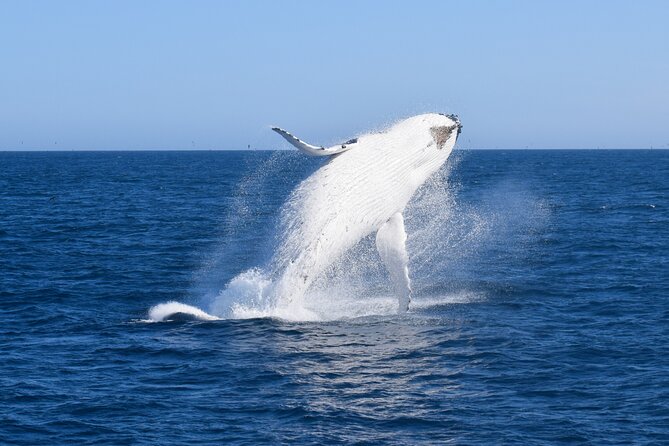 Wilsons Prom Whale Cruise - Safety and Accessibility