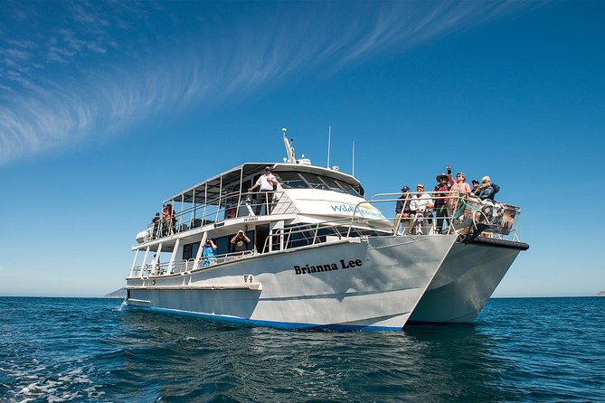 Wilsons Prom Whale Cruise - Contact and Booking